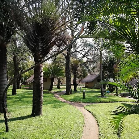فيلا Shumba Safari Bush Camp هويدزبروت المظهر الخارجي الصورة