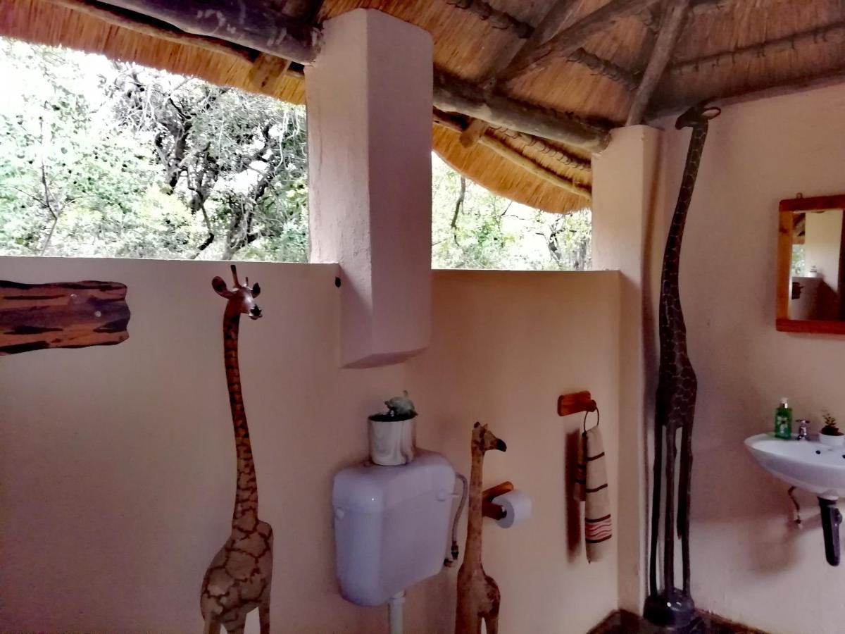 فيلا Shumba Safari Bush Camp هويدزبروت المظهر الخارجي الصورة