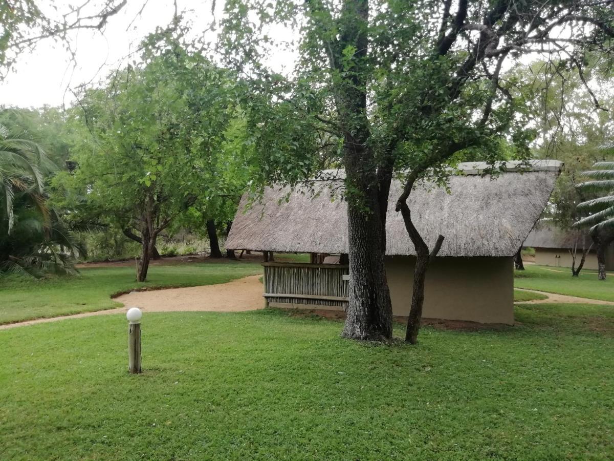 فيلا Shumba Safari Bush Camp هويدزبروت المظهر الخارجي الصورة