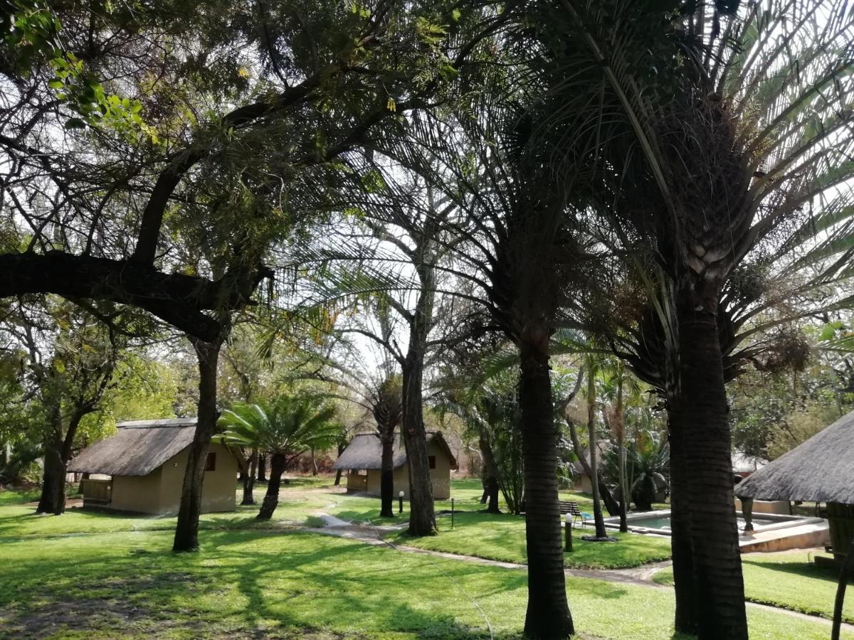 فيلا Shumba Safari Bush Camp هويدزبروت المظهر الخارجي الصورة