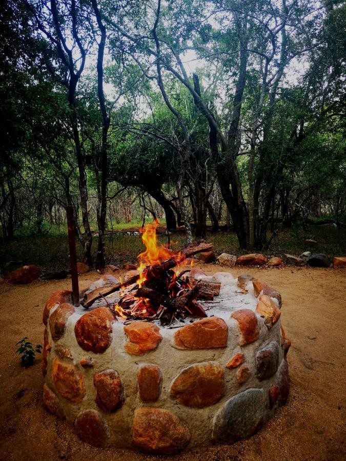 فيلا Shumba Safari Bush Camp هويدزبروت المظهر الخارجي الصورة