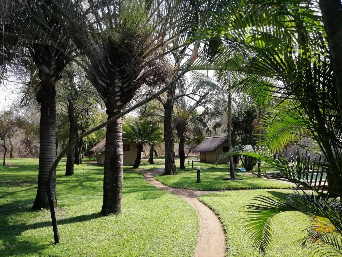 فيلا Shumba Safari Bush Camp هويدزبروت المظهر الخارجي الصورة