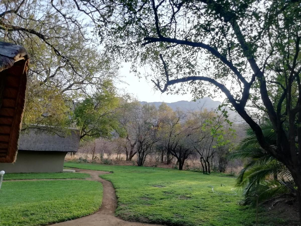 فيلا Shumba Safari Bush Camp هويدزبروت المظهر الخارجي الصورة