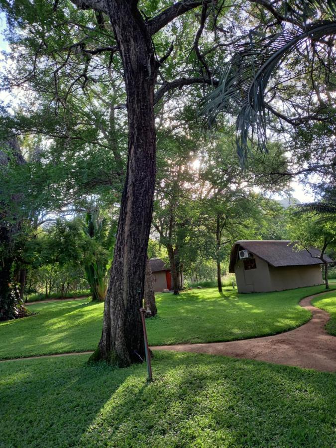 فيلا Shumba Safari Bush Camp هويدزبروت المظهر الخارجي الصورة