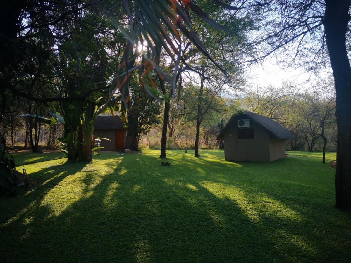 فيلا Shumba Safari Bush Camp هويدزبروت المظهر الخارجي الصورة