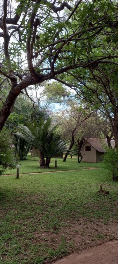 فيلا Shumba Safari Bush Camp هويدزبروت المظهر الخارجي الصورة