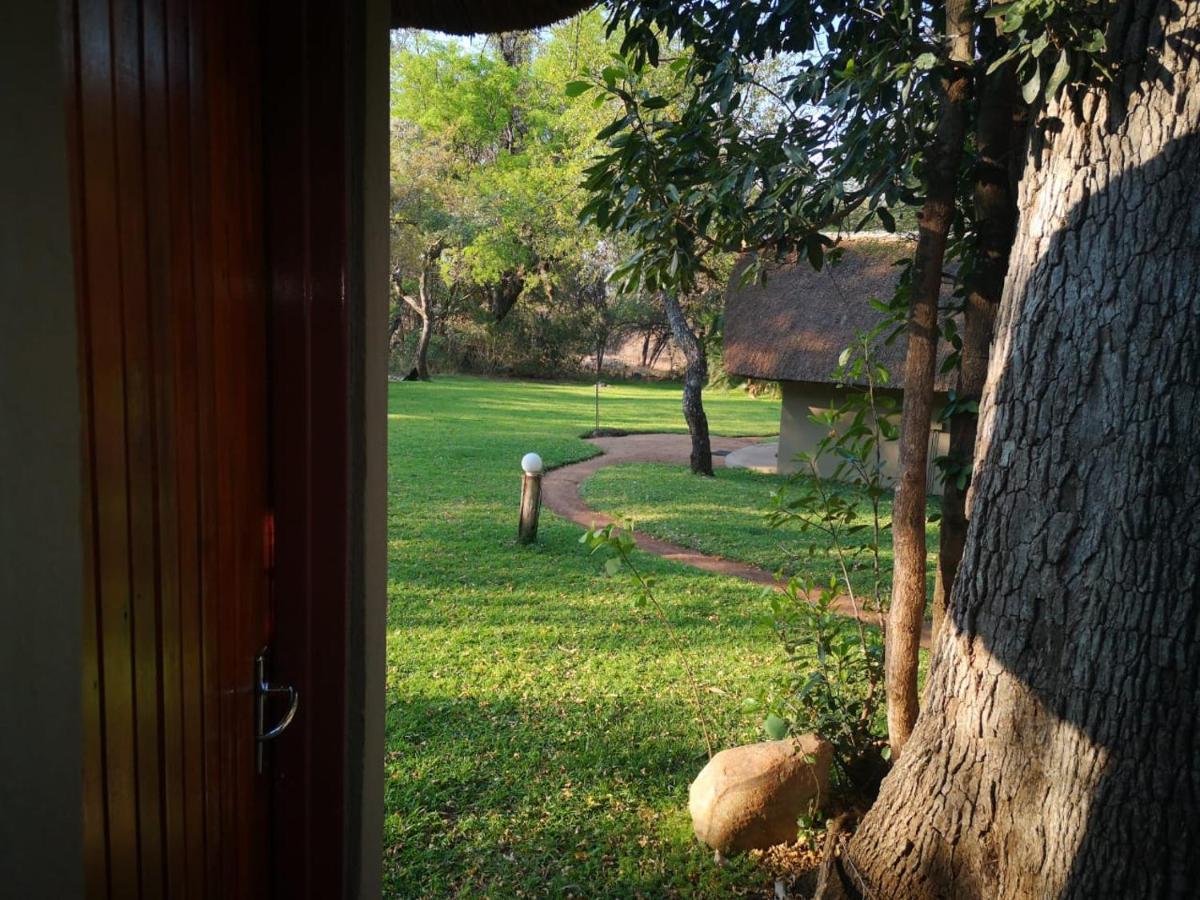 فيلا Shumba Safari Bush Camp هويدزبروت المظهر الخارجي الصورة