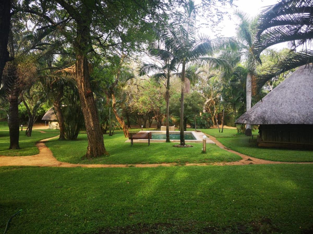 فيلا Shumba Safari Bush Camp هويدزبروت المظهر الخارجي الصورة